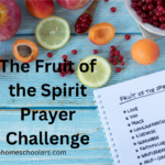 The Fruit of the Spirit Prayer Challenge (1)